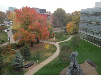 A section of Kean University's main campus Photo Credit: Marisa Gallagher
